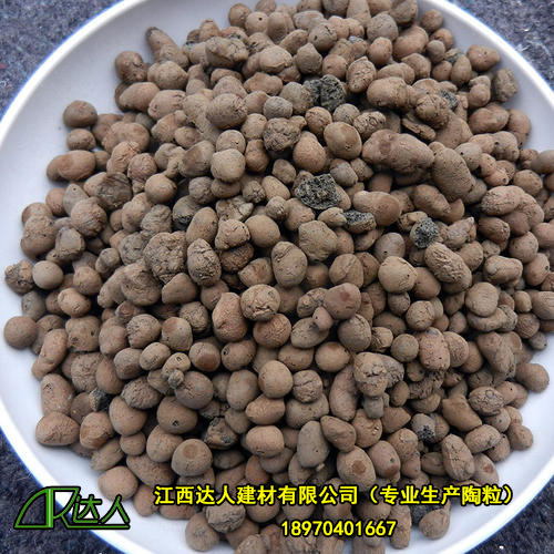 http://www.lswhs.cn