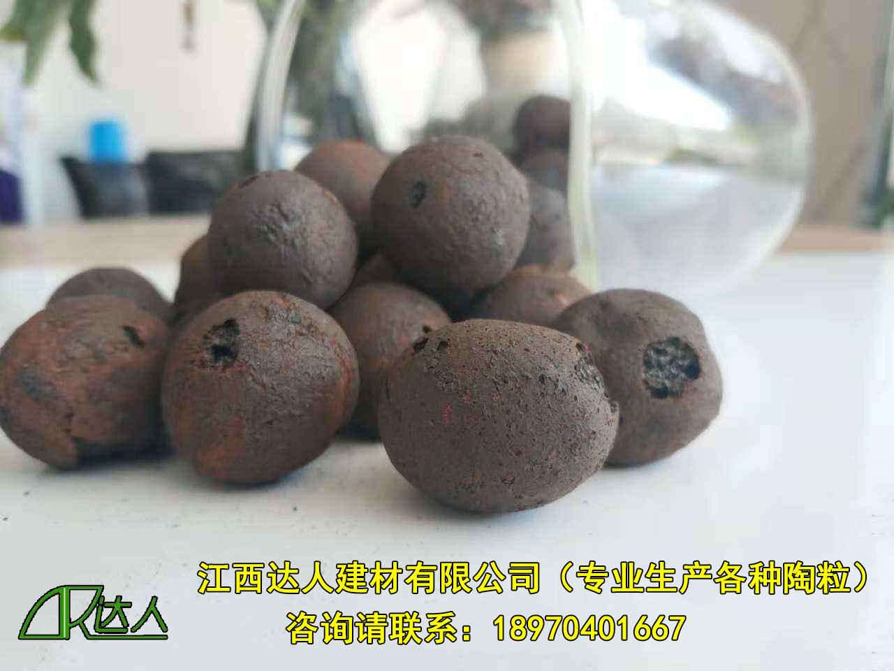 http://www.lswhs.cn