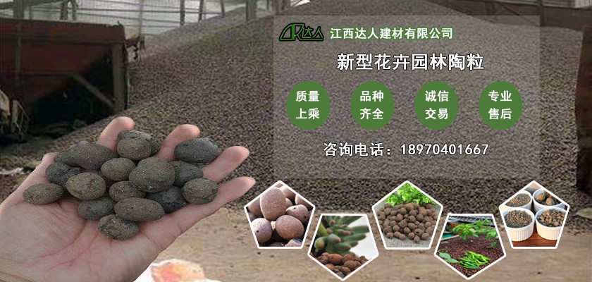 http://www.lswhs.cn