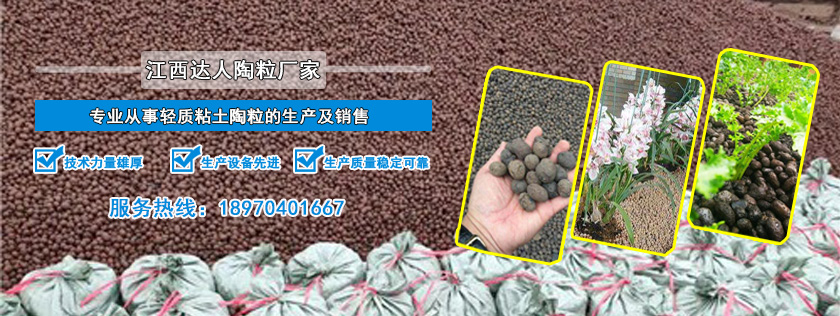 http://www.lswhs.cn