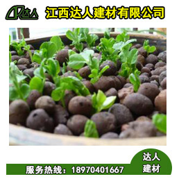 達人建材生產的陶?？梢苑N植所有花卉嗎？